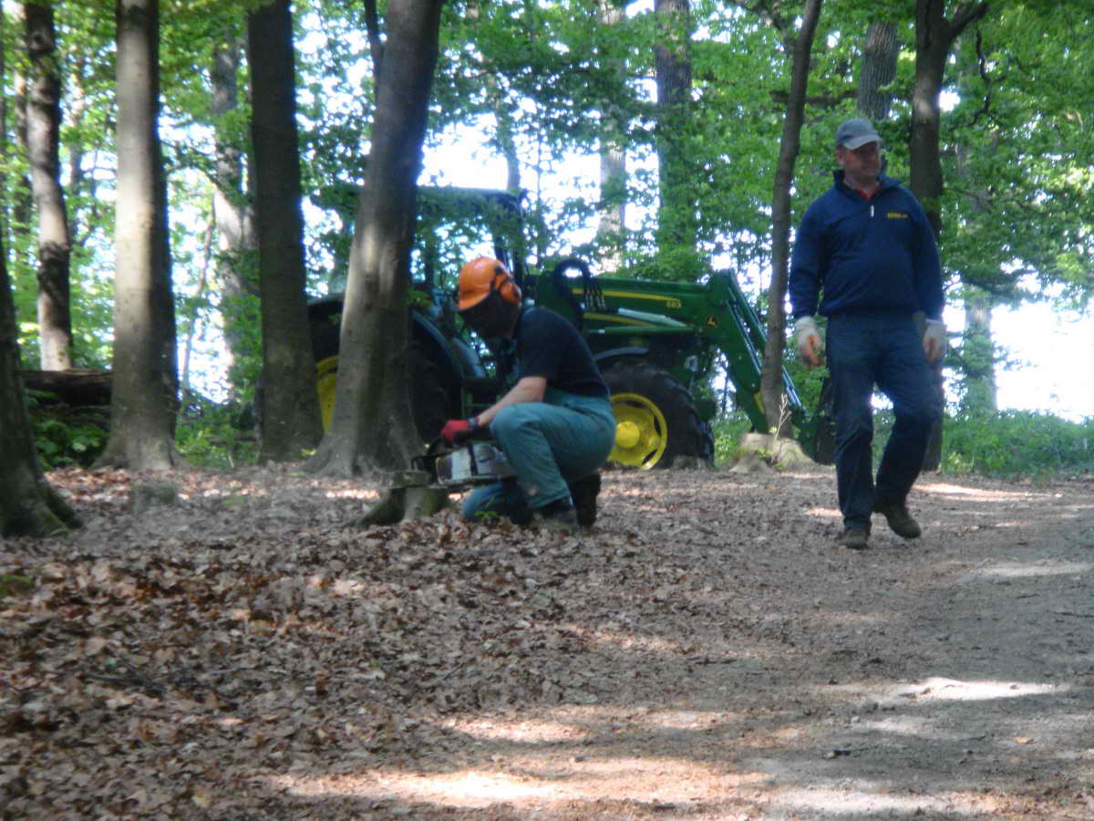 2011-05-07 KPF Wald 24.jpg